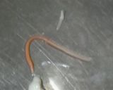 タチ(スケソウ鱈の白子)の味噌汁作り方2写真