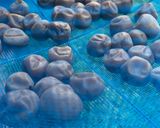 うちの梅干し作り方7写真