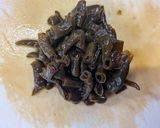 ささっと薬膳唐辛子醤油漬けお焼作り方2写真