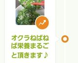 夏のオクラとみょうがのネバネバ味噌汁作り方6写真