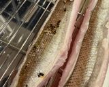 カマスの炙り　塩焼きだけじゃないカマスの魅力作り方8写真