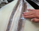 ふっくら煮穴子作り方1写真