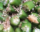 オクラの辛子酢醤油和え作り方2写真