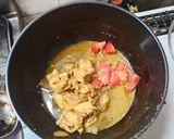 酸味4種比較チキンカレー作り方20写真