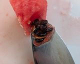 スイカの食べやすい切り方作り方5写真