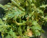 春菊と豆腐の韓国風サラダ作り方2写真