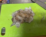 カラマリ作り方1写真