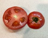 【糖尿病】チーズトマト　61kcal作り方3写真