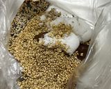 水菜と大葉の胡麻和え☆作り方1写真