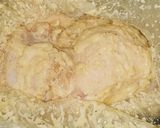 みんな大好き_鳥唐揚げ_タレ作り方6写真