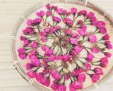 桜の塩漬け作り方5写真