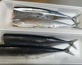 さんまの塩焼き（グリル）作り方1写真