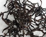 ぜんまいの煮方と干し方(保存の仕方)作り方11写真