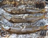 カマスの塩焼き（初心者向け魚の焼き方）作り方11写真