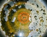 これが鶏むね肉の実力だっ！甘酢マヨネーズ作り方15写真