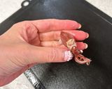 ウドとホタルイカのアヒージョ作り方9写真