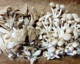 鶏ささみ肉と 白菜 きのこの ナンプラースープ♪作り方1写真