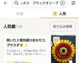 咲いた♪信州産ひまわりコブサラダ🌻✨作り方17写真