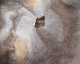 皆大好き♡染み染み肉じゃが～ご飯進む～作り方5写真
