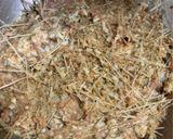 タイ料理！イサーンソーセージ作り方3写真
