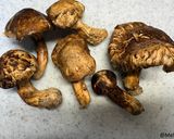 マツタケ・ポロウ　三つ葉の松茸ご飯作り方1写真