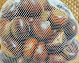 ★塩茹でした🌰栗を剝いちゃた！作り方1写真