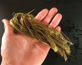 フキの煮物&肉味噌炒め&皮茶作り方11写真