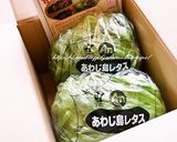 レタスと桜エビの味噌うどん作り方7写真