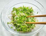 60℃ 鶏レバーの薬味まみれ作り方29写真