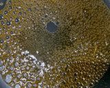 揚げない!ほくほく大学芋作り方10写真