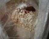 チョコレートグラハムクッキー作り方2写真