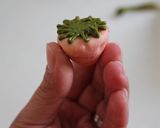 ケーキの飾りに♪いちごのクッキー作り方15写真