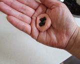 ケーキの飾りに♪いちごのクッキー作り方19写真