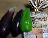 塩麹でウインナー＋なす＋ピーマンの味付け作り方1写真