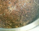 いかなごのくぎ煮作り方5写真