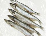 うちの☆ししゃも・小型魚❣下処理は爪楊枝作り方6写真