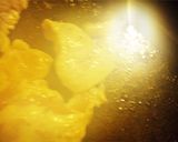 湖グラタン♪作り方10写真