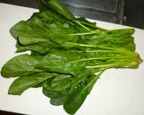 パパのほうれん草おひたち作り方1写真