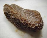 蜂の巣と昆布と油揚げの煮物作り方1写真