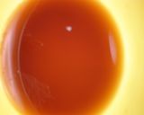 やりいかの煮つけ菜の花添え作り方8写真