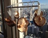 ストウブ鍋で椎茸と牛肉の炊き込みご飯作り方1写真