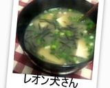豆腐とのりの味噌汁(だしの素で)作り方10写真