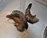 手軽に！お家でできる、生春巻き作り方1写真