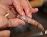 手軽に！お家でできる、生春巻き作り方2写真