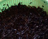 美味しすぎます。生姜ひじき作り方1写真