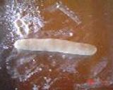 じっくり作った！皮も作る餃子作り方10写真