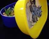 型紙いらず！強粘着！ご飯のキャラシート作り方6写真