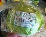 春キャベツと大豆もやしのジンジャーナムル作り方3写真