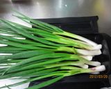 旨味凝縮♪ワケギはレンジで作り方1写真