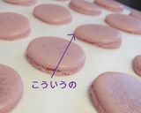 理系のためのマカロン(卵Mサイズ1個分)作り方26写真